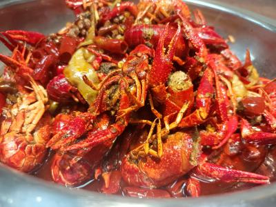 學(xué)做小龍蝦技術(shù)做法哪里比較好？