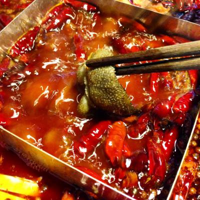 成都火鍋培訓(xùn)多少錢？ 成都火鍋培訓(xùn)多少錢？