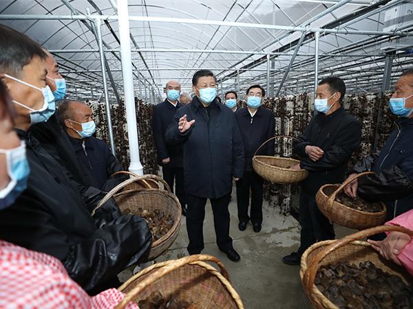 習(xí)近平總書記考察中國(guó)中鐵援建的金米村智能連棟木耳大棚